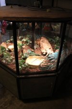 IMG_9645.jpg