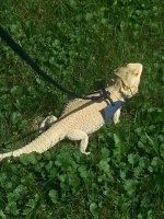 20130830_125133.jpg