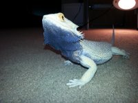 20130414_165431.jpg