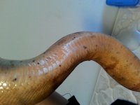 20131205_064433.jpg