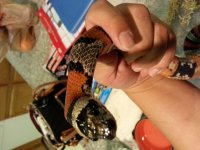 20131203_205737.jpg