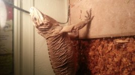 20131124_223322.jpg