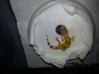 blood hypo crossbaby 1.jpg