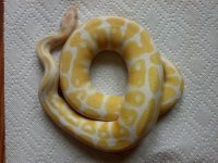 IMG_20130904_113202_688.jpg