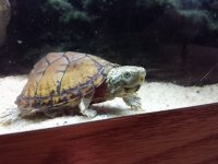 IMG_20130917_194507.jpg