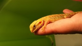 20130915_155242.jpg