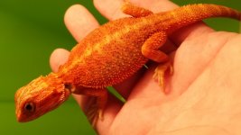 20130915_155059.jpg