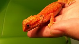 20130915_155107.jpg
