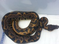 20130918_155145.jpg
