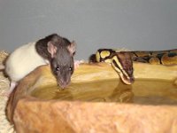 IMG_1526.JPG