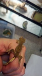 IMG_20131115_180133_826.jpg