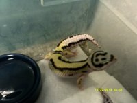 HOLDBACKS 001.jpg