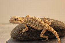 IMG_6754.jpg