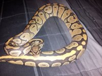 20130704_132759.jpg