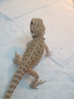 IMG_1024.jpg