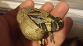 20130910_202355.jpg