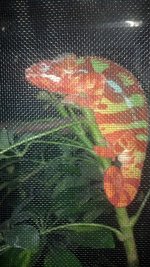 IMG_20131022_204351_060.jpg