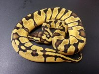 20130831_103118.jpg