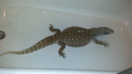 20130915_175934.jpg