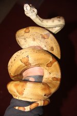 IMG_1119-1.jpg