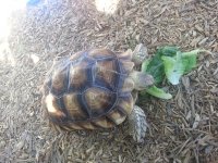20130926_163901.jpg