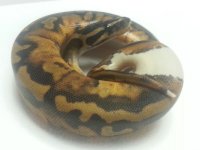 20130930_194457.jpg