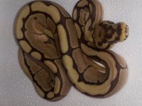 20130930_194153.jpg