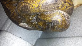 20131120_111307.jpg