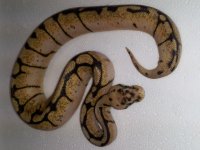 20130930_193630.jpg