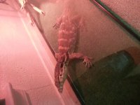 20131010_132714.jpg