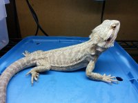 20131115_174935.jpg