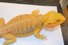 DSC_2543.jpg