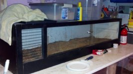 2013-02-19_19-49-52_963.jpg
