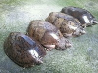 2013-10-21_13.19.39.jpg