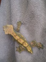 100_1407.jpg