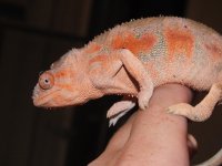 DSCF4270.jpg
