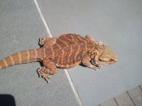 2012-07-08 14.02.15.jpg