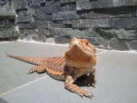 2012-07-08 14.03.38.jpg