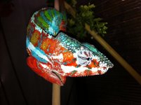 photo 2 (16).JPG