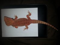 20131116_184332.jpg