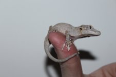 IMG_8541.jpg