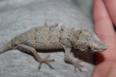 IMG_8544.jpg