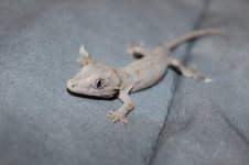 IMG_8559.jpg
