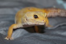 IMG_8551.jpg