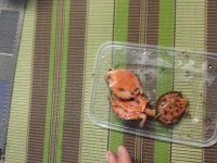 20131030_151314.JPG