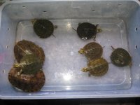 20131030.JPG