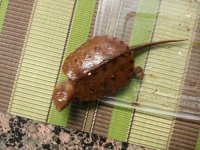 20131030_150507.JPG
