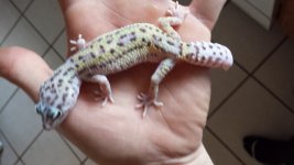 20130910_143306.jpg