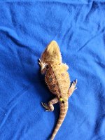 2013-10-07 19.43.01.jpg