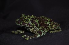 DSC_0199.jpg